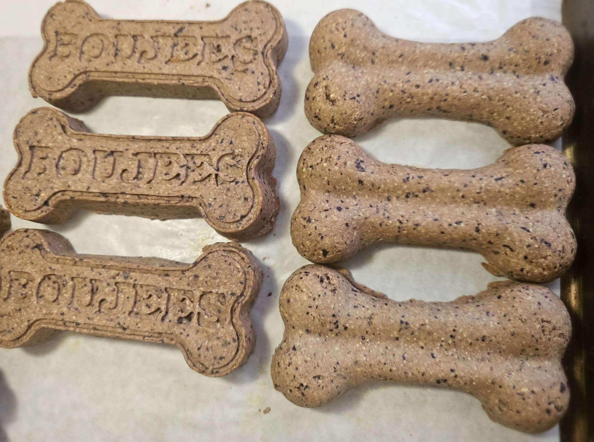 Elvis Pawsley - Image 5