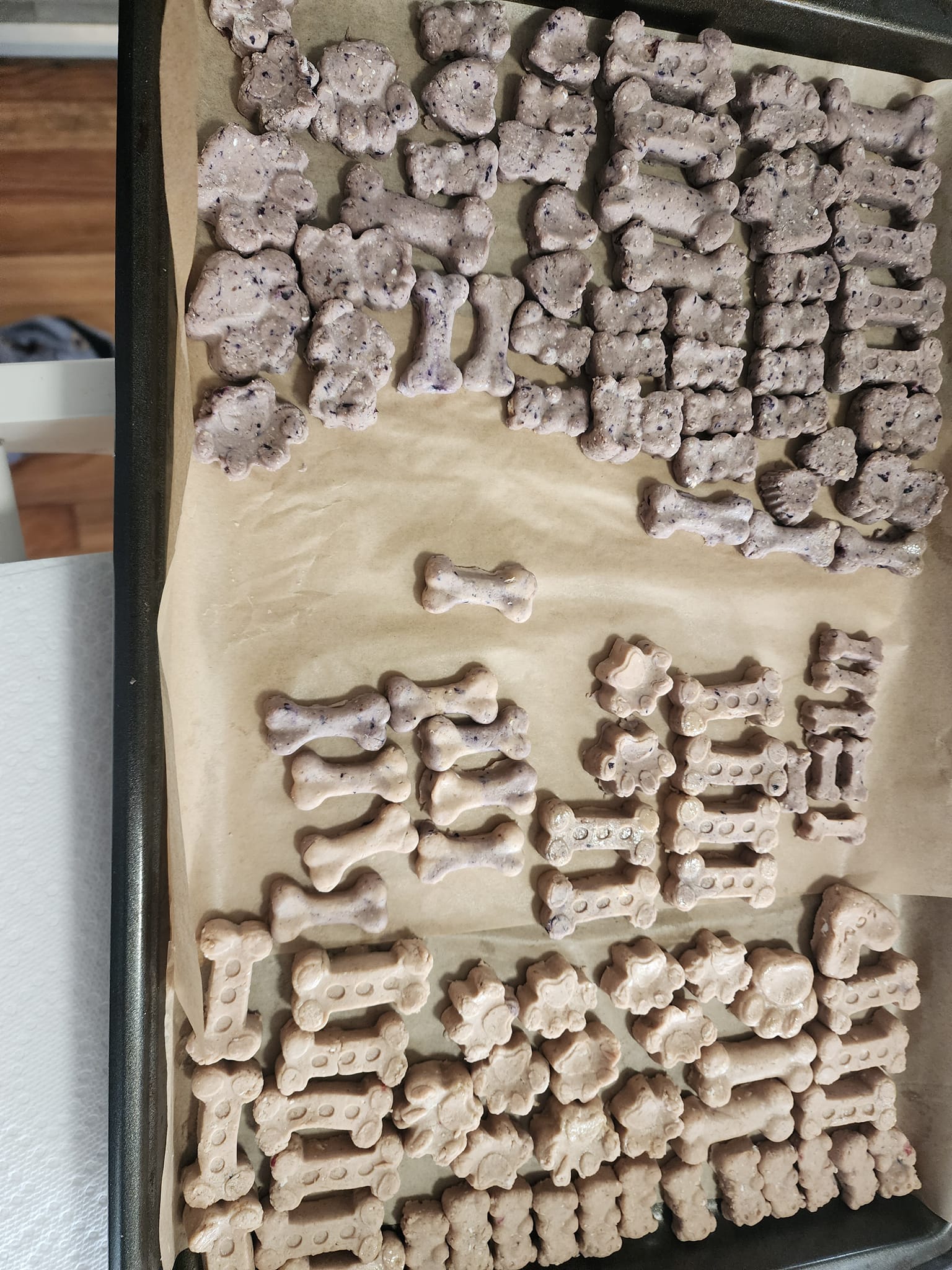 Elvis Pawsley - Image 3