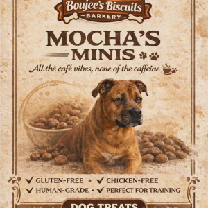 Mocha's Minis
