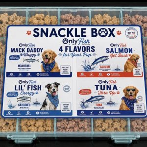 Summer Snackle Box Collection